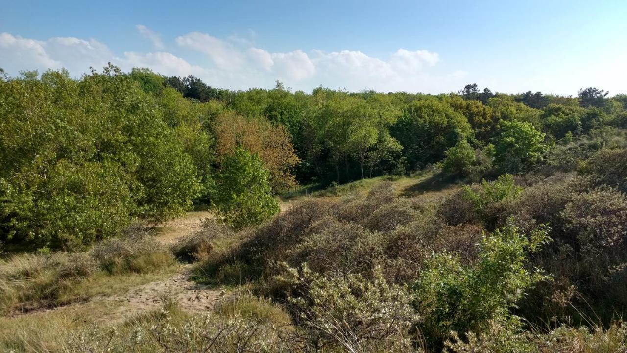 Seagarden By Valdemosa Apartman De Haan Kültér fotó